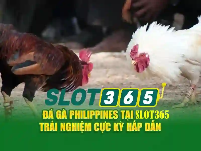 hoki slot365 – Tổng quan chủ đề và Giá trị cốt lõi