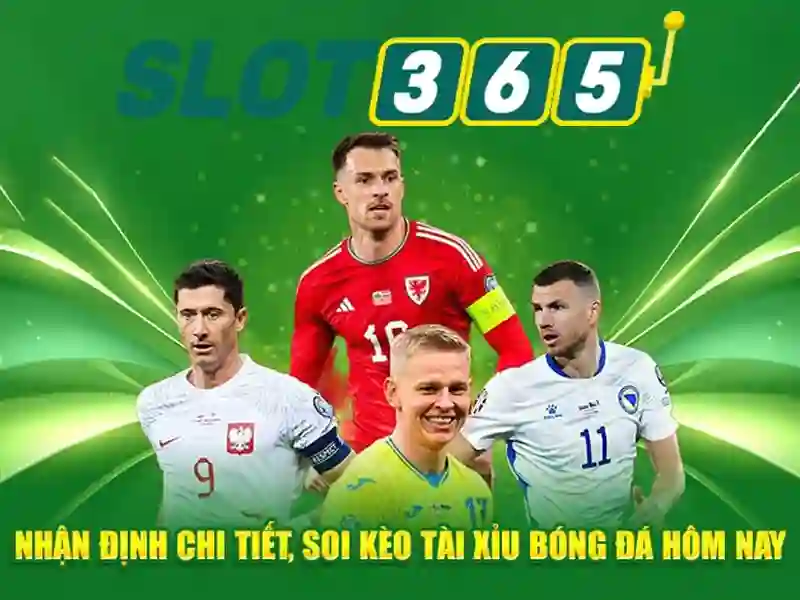 slot365 bet – Sản phẩm và dịch vụ chính