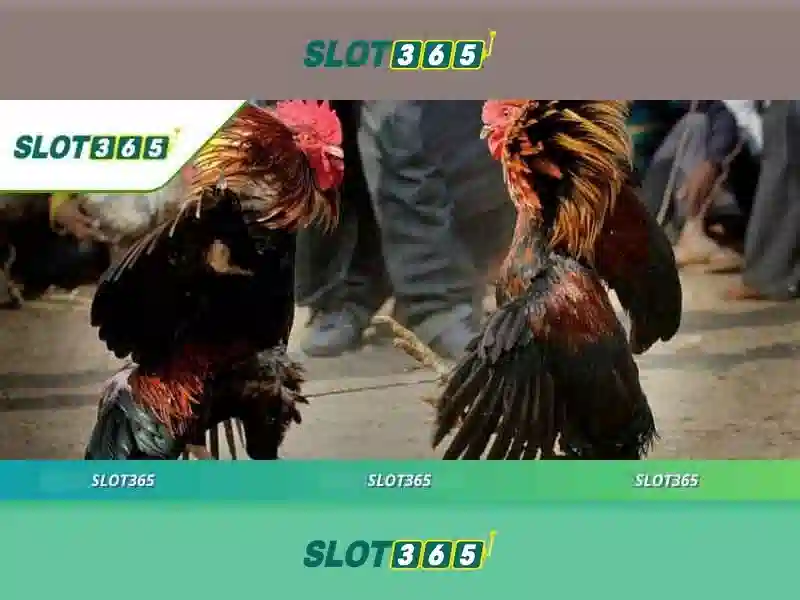 Slot365 – Nền tảng casino trực tuyến nổi bật trên thị trường cược