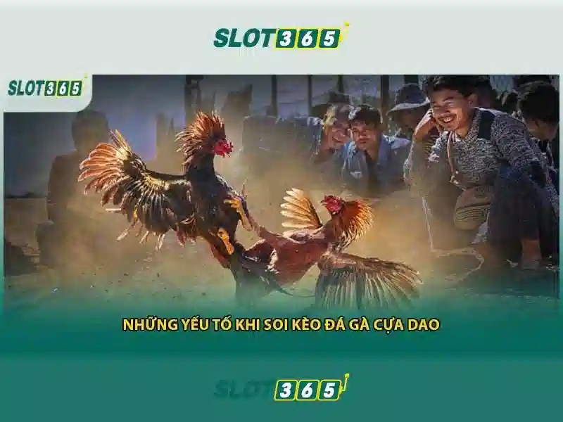 game bài Slot365: Trải nghiệm đỉnh cao và uy tín