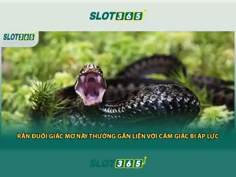 Sản phẩm và dịch vụ Slot365 app