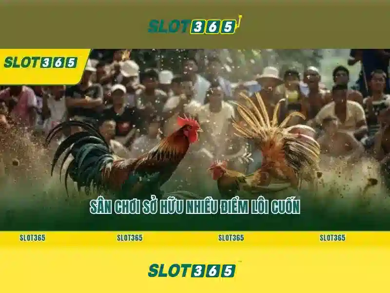 Slot365: Tổng quan về nền tảng slots trực tuyến