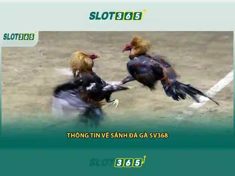 Slot365 – Trải nghiệm casino slot trực tuyến tuyệt vời