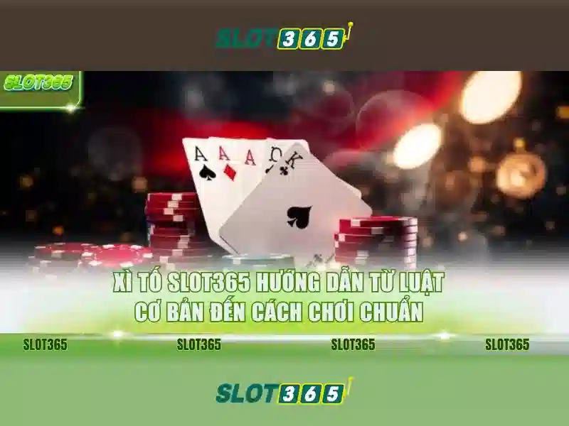 Slot365 – Nền tảng casino trực tuyến phổ biến