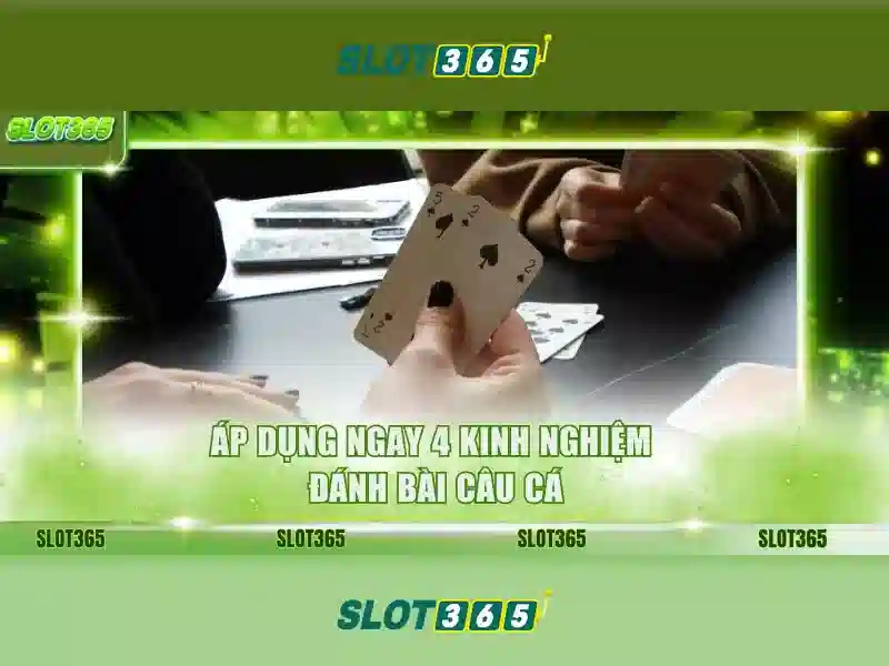 Slot365 nổ hũ – tổng quan
