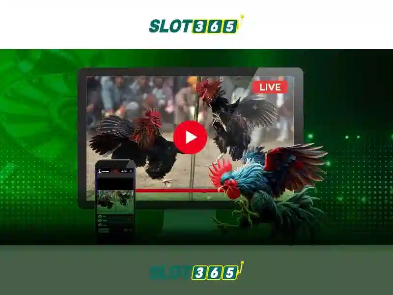 Slot365 là gì và tại sao được người chơi quan tâm