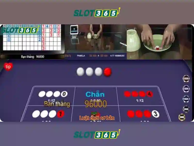 Slot365: Trải nghiệm trò chơi xèng trực tuyến hàng đầu