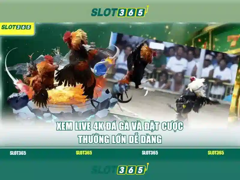 An toàn và thanh toán nhanh chóng