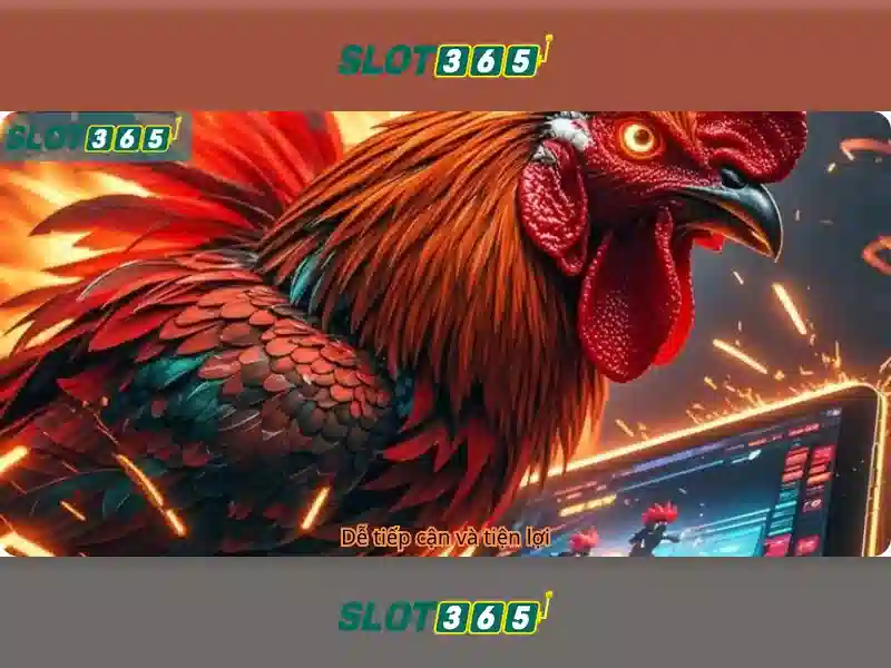 Slot365: Khám phá nền tảng trò chơi và trải nghiệm người dùng