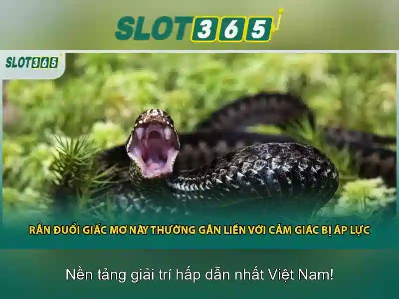 Slot365: Nền tảng slot trực tuyến an toàn
