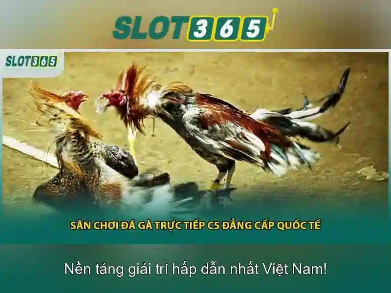 Tại sao người chơi chọn Slot365\n