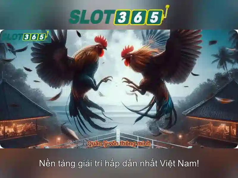 Slot365 – Nền tảng slot trực tuyến đáng tin cậy