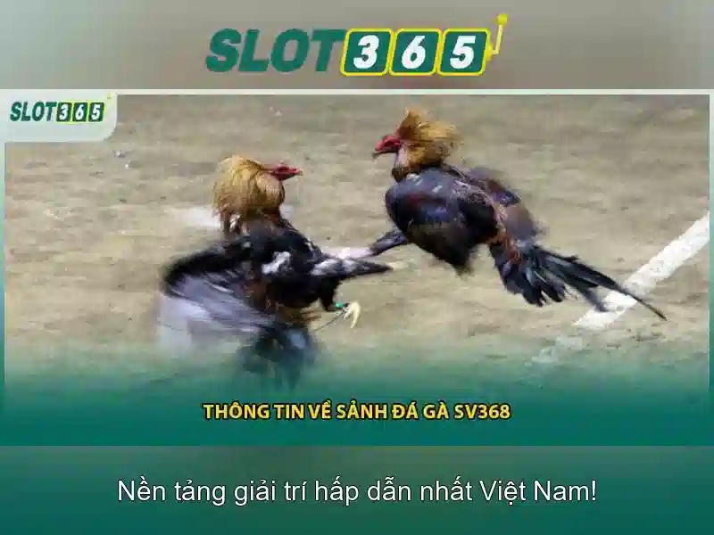 Trò chơi nổi bật tại Slot365\n