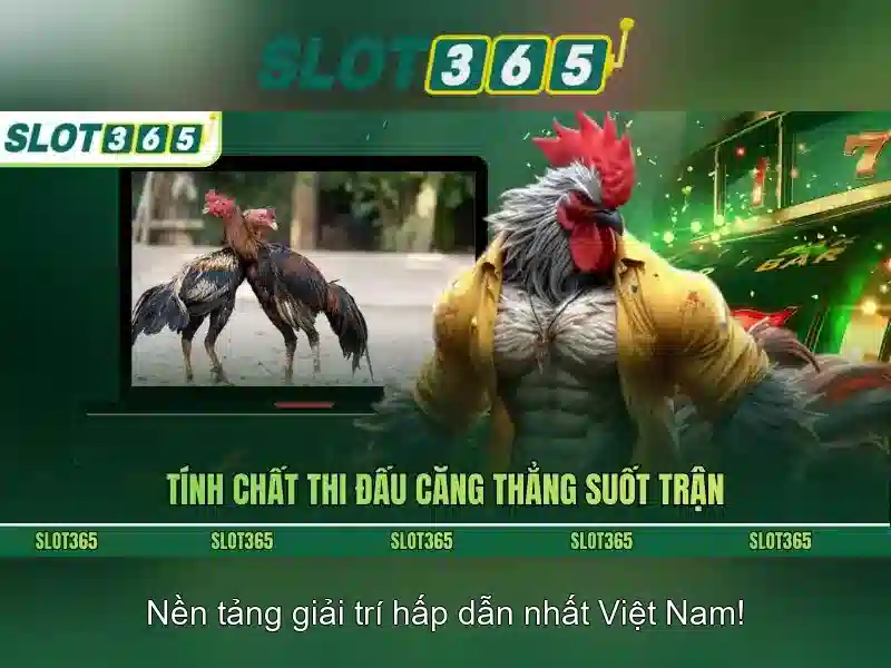 Lý do người chơi ưa thích Slot365