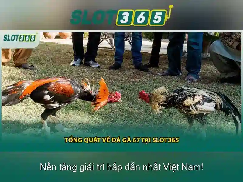 Slot365 là gì và vì sao nó nổi bật?