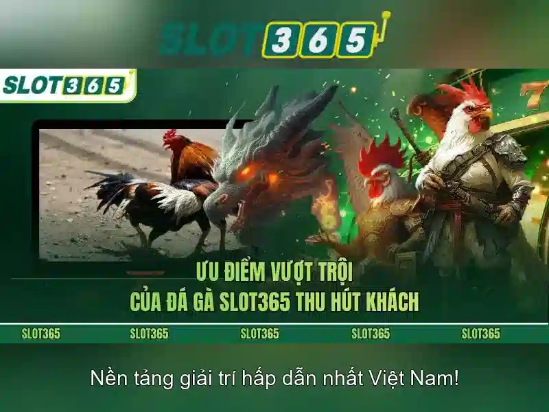 Trải nghiệm người chơi tại Slot365\n\n