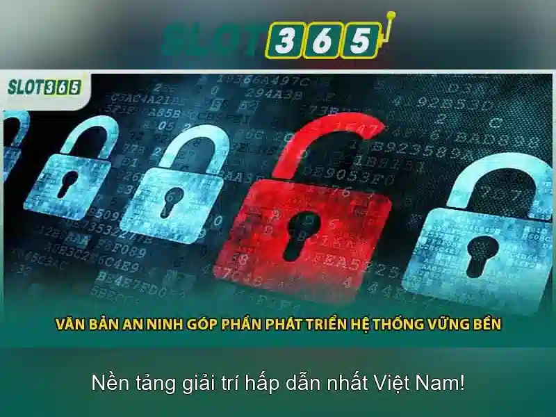 Trải nghiệm người dùng và phản hồi từ cộng đồng