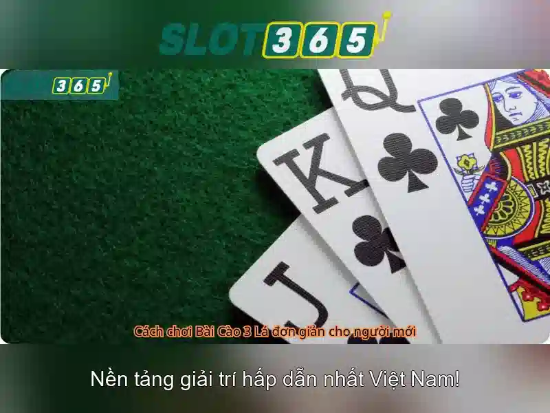 Slot365: Đánh giá tổng quan về nhà cái slots online