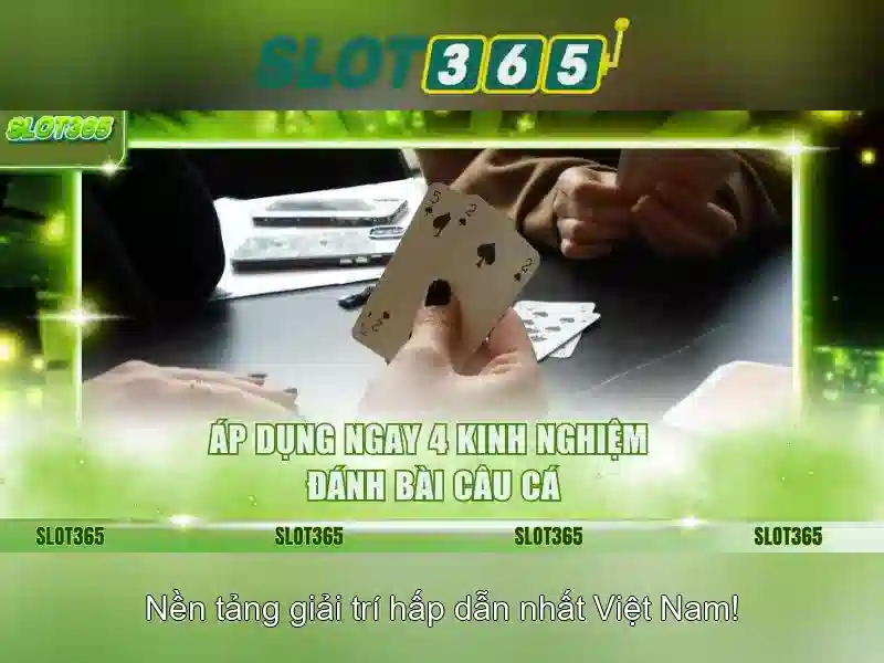 Giao diện và trải nghiệm người dùng