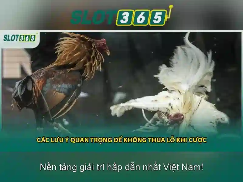 Slot365 - Nền tảng slot trực tuyến an toàn và tin cậy