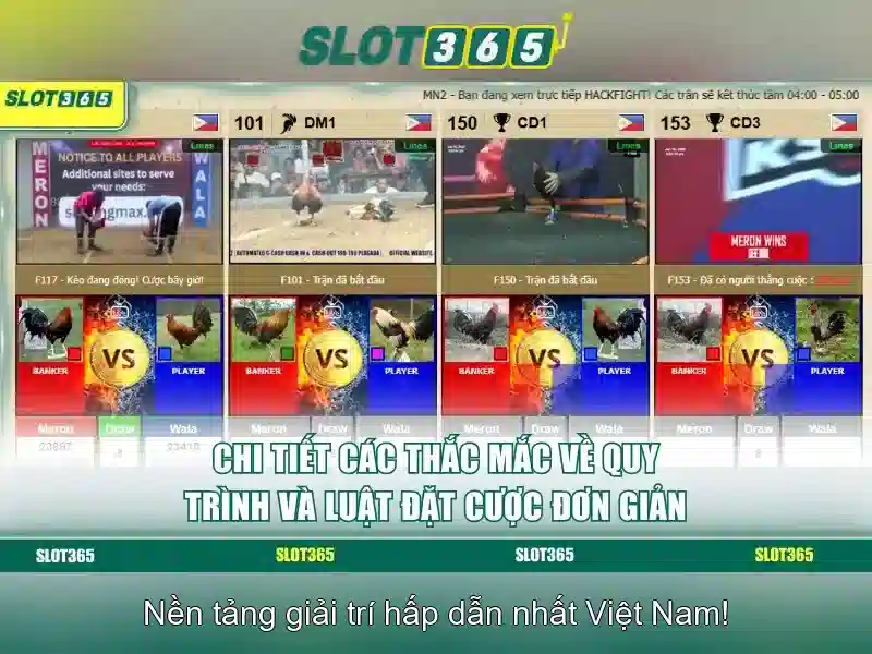 Slot365 là nền tảng trò chơi slots trực tuyến phổ biến