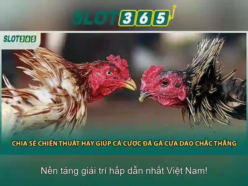 Slot365: Trò chơi và cơ hội nhận thưởng