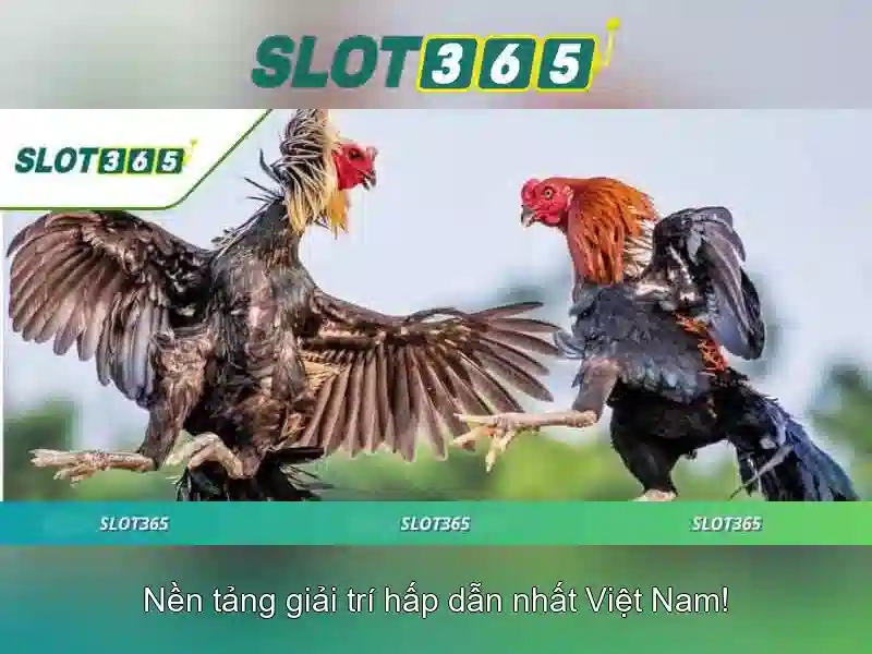 Giao diện người dùng và trải nghiệm