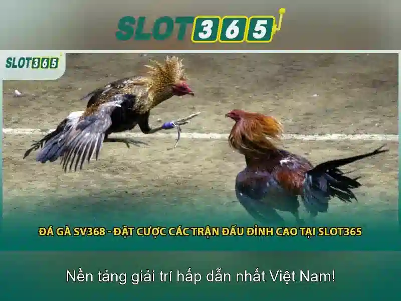 An toàn và bảo mật\n\n