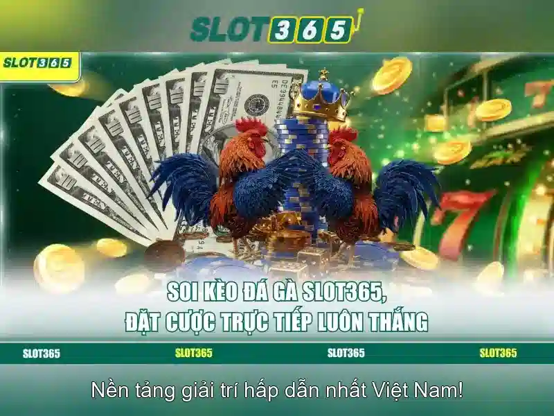Slot365 là gì và trải nghiệm ban đầu