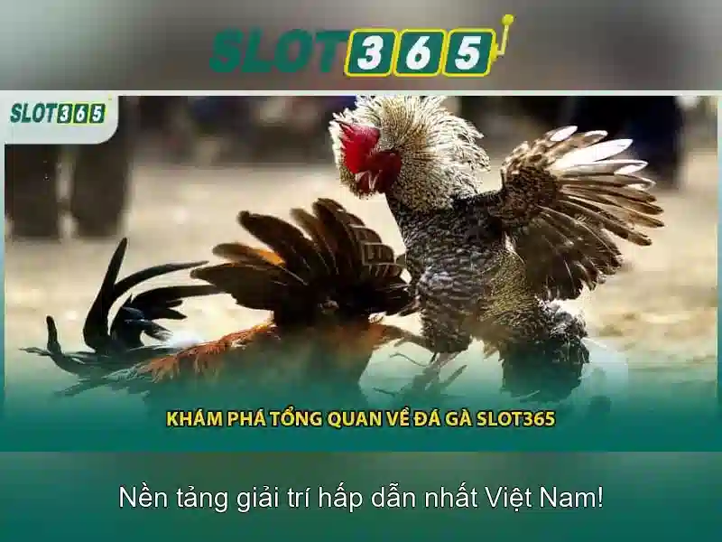 Slot365 bị chặn — đánh giá, link Slot365 và trải nghiệm người chơi