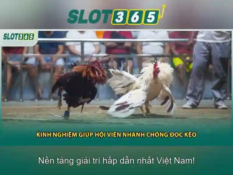 Slot365: Khám phá thế giới trò chơi máy đánh bạc trực tuyến