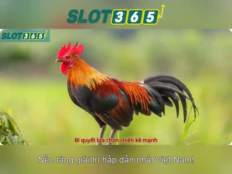 Slot365 là gì?