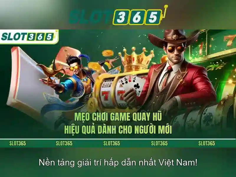 Chế độ khuyến mãi và chương trình thưởng