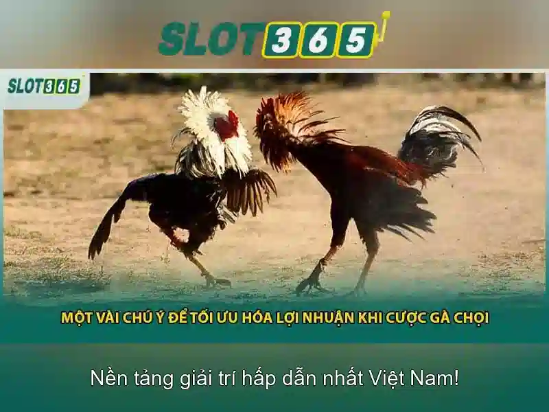 Các sản phẩm và dịch vụ cốt lõi của asia slot365