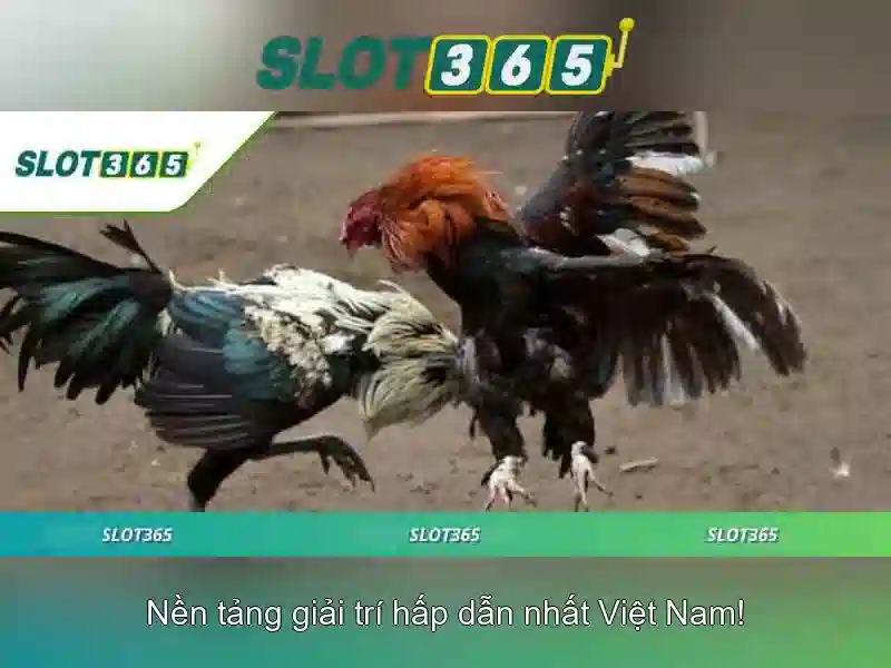 Danh mục trò chơi đa dạng từ nhà cung cấp hàng đầu