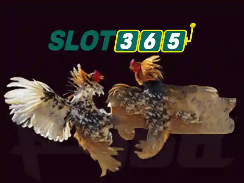 Chính sách bảo mật và an toàn