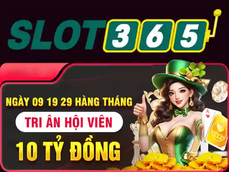 Giao diện và trải nghiệm người dùng