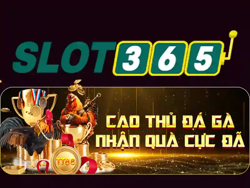 slot365 tải – Trải nghiệm Slot365 và giá trị nền tảng