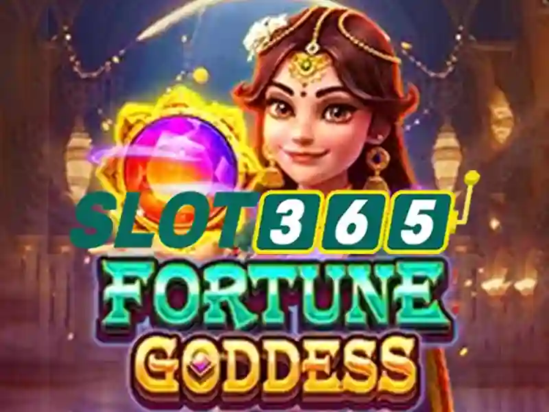 slot365 bet – Trải nghiệm người dùng và cộng đồng